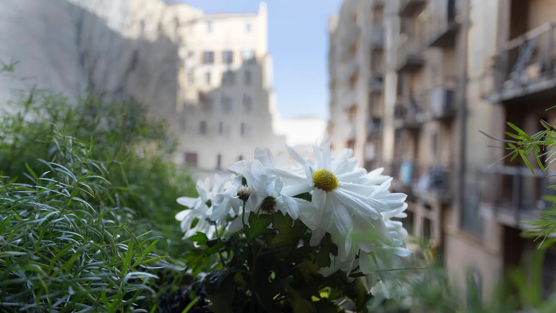 Maggi Milano - New Beautiful Apartments In The City Center